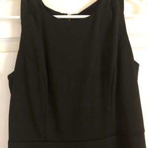 Sleeveless Black Dress (sheer upper back)